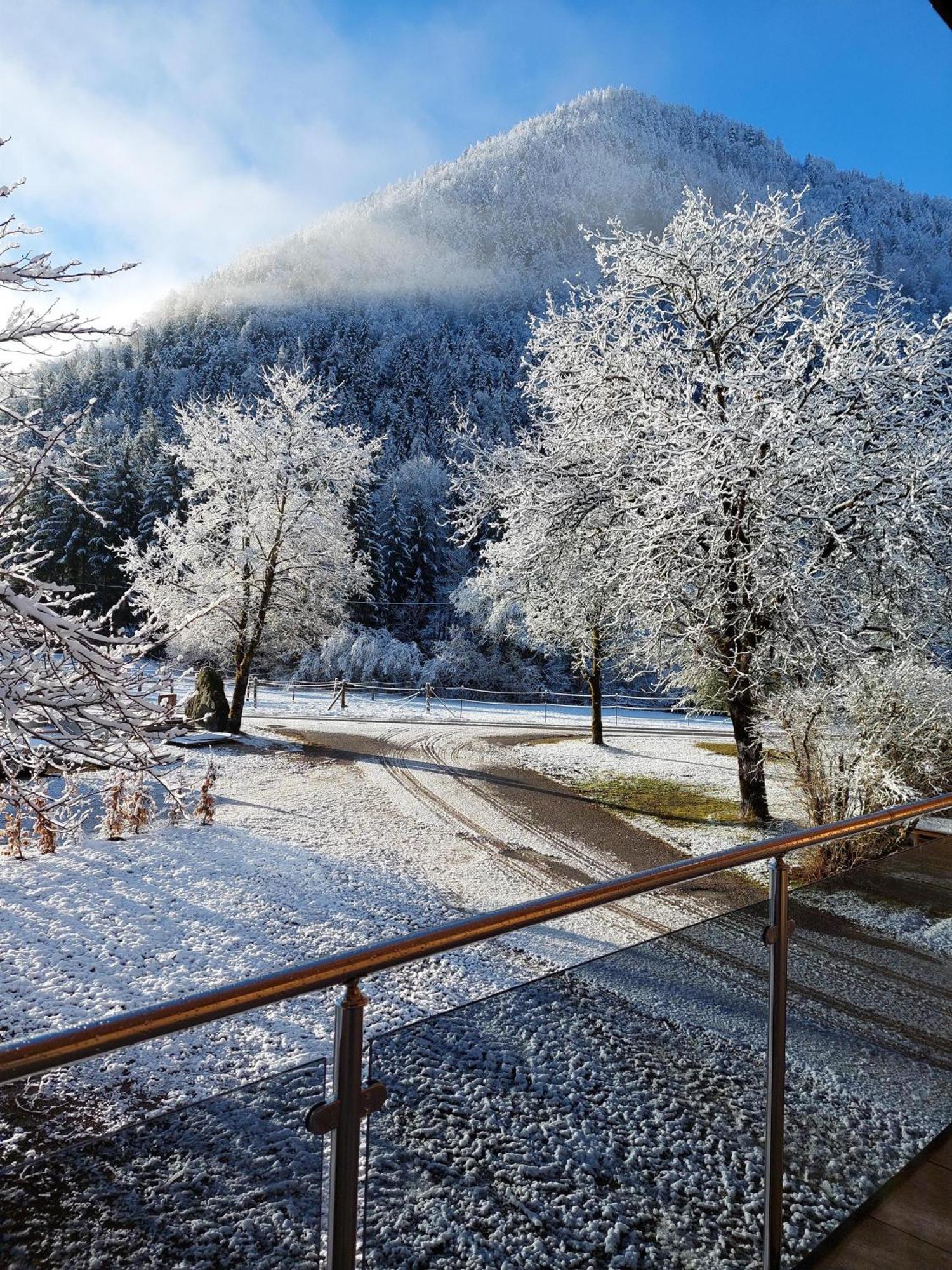 Hofpower'S Mountain Feeling Διαμέρισμα Hinterstoder Εξωτερικό φωτογραφία